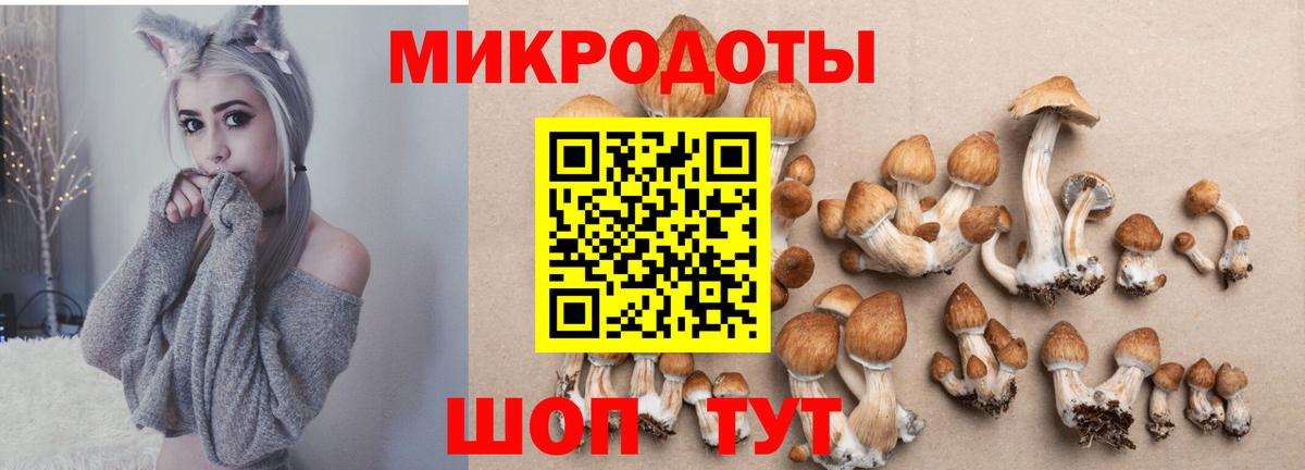 Псилоцибиновые грибы GOLDEN TEACHER Серов